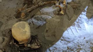 Pisco: invasores de terrenos encuentran restos óseos de un ser humano en Túpac Amaru Inca