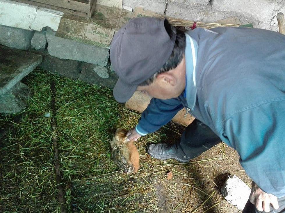 Torrencial lluvia de más de una hora inunda calles y seis viviendas