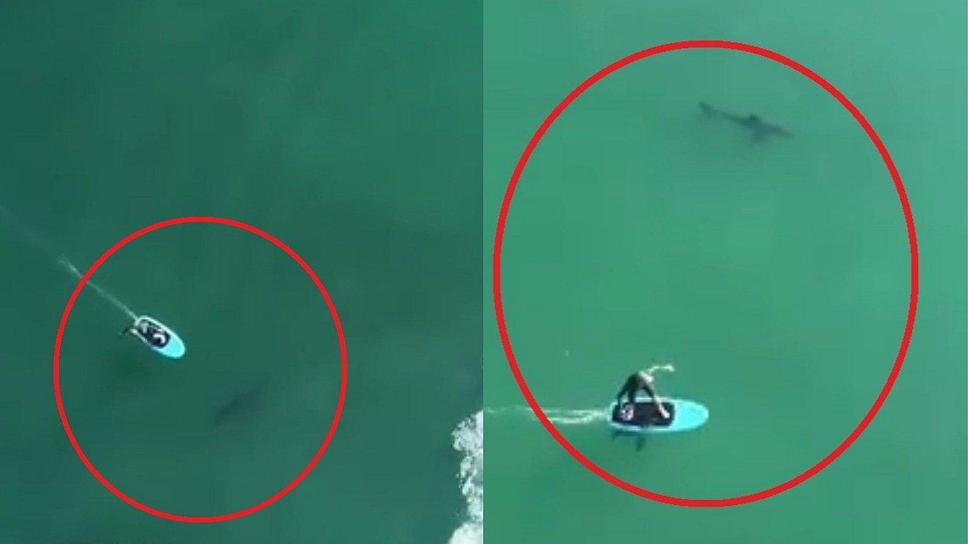 Dron captó a bañistas que surfeaban sin imaginar que estaban encima de tiburones (VIDEO)