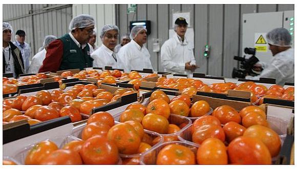 Perú es primer país exportador de mandarina en América
