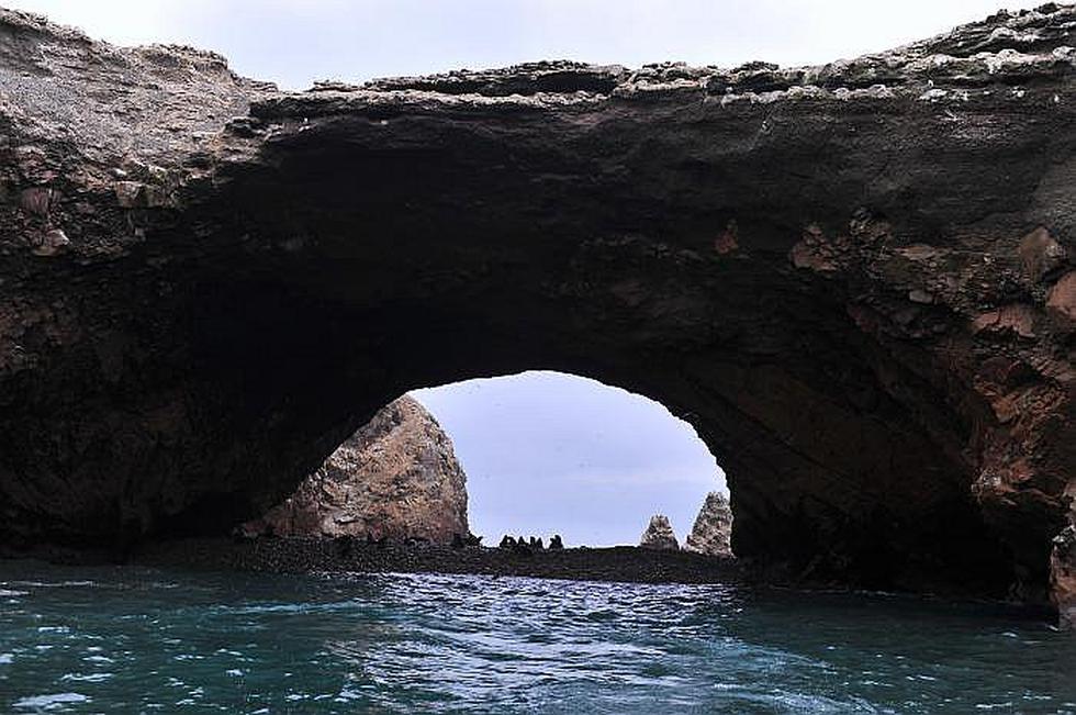Plantearán ante la Unesco que la Reserva Nacional de Paracas sea Patrimonio de la Humanidad
