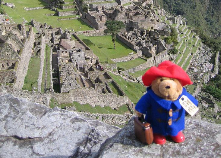 Conoce a Paddington, el osito peruano que tendrá su propia película