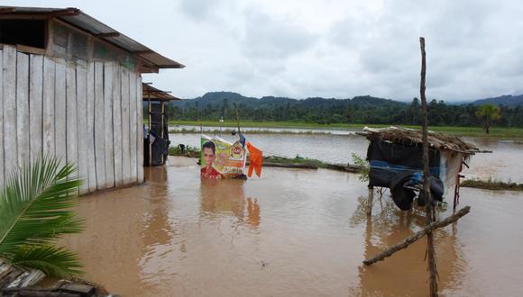 Aucayacu: desborde del Huallaga dañó 812 hectáreas de cultivos
