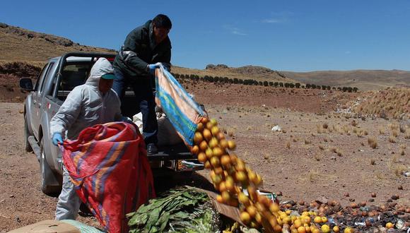 Puno: decomisan frutas carentes de certificado sanitario que provenían de Bolivia