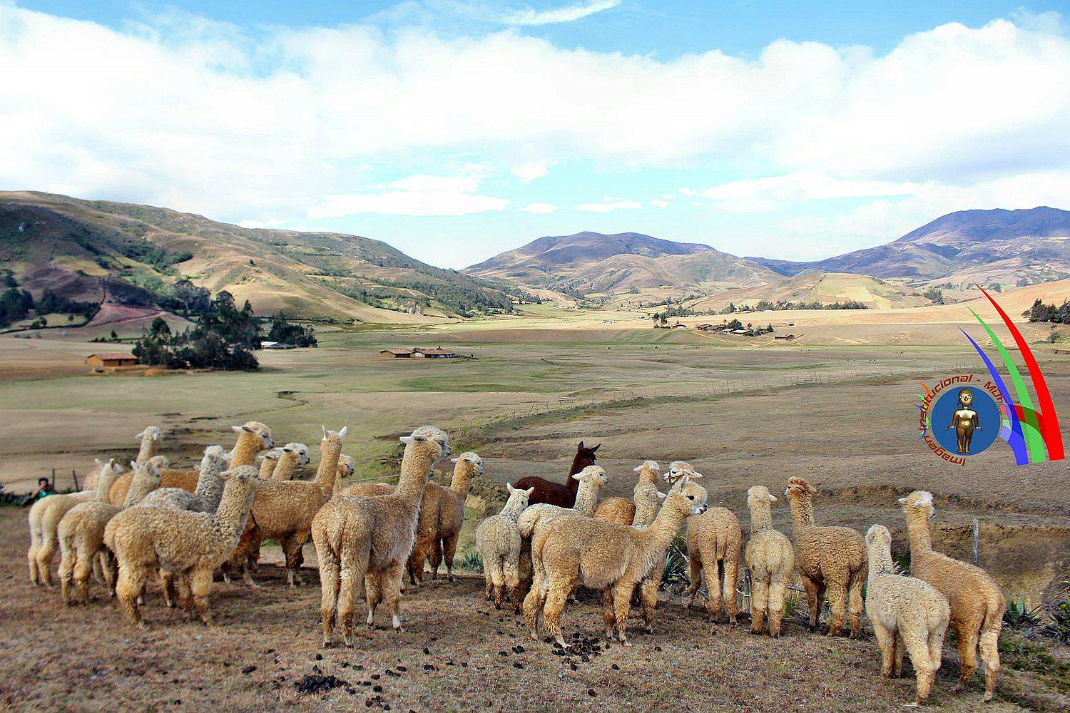 Piura: Frias apuesta por su Meseta Andina en concurso de las 8 maravillas