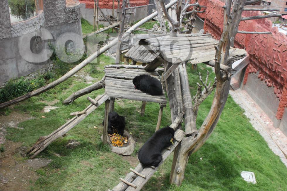 El nuevo parque para los animales en el zoológico de Huancayo (FOTOS)
