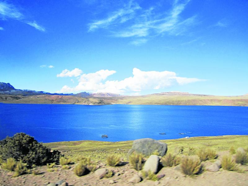 Declaran de interés recuperación de laguna Choclococha