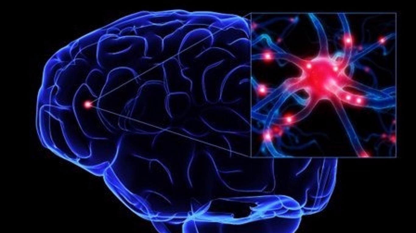 5 hábitos para propiciar la regeneración de las neuronas 