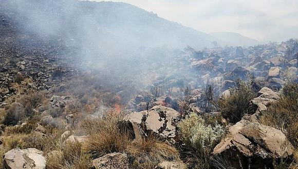 Este año registraron 81 incendios forestales en Arequipa.