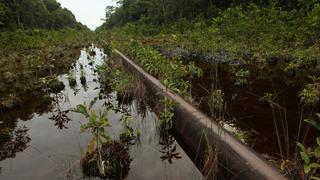 OEFA de Perú confirma un nuevo derrame de hidrocarburos en la selva peruana