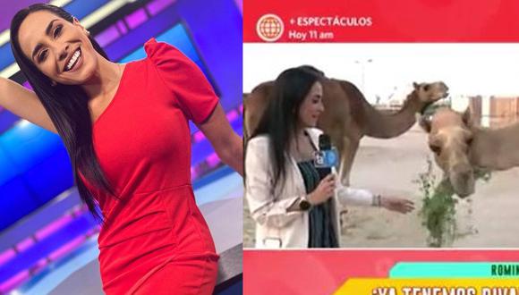 Romina Vega se intimida luego que camello se le acerque durante enlace en vivo desde Qatar. (Foto: Instagram).