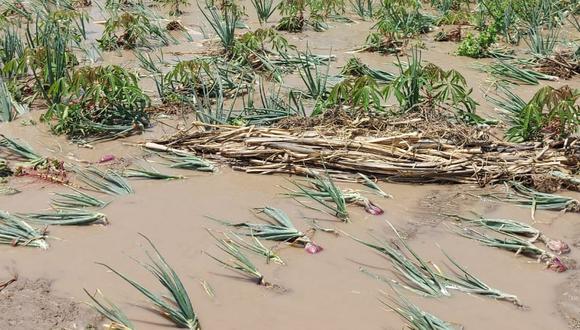 Agricultura también se ve afectada por incremento del caudal del río. (Foto: Difusión)