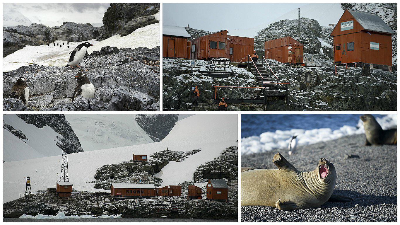 Antártida: Aguas residuales de las bases afectan a la vida marina