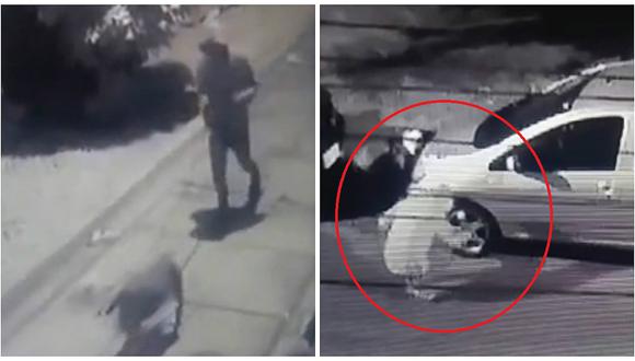 Chorrillos: 'Robacarros' utiliza pitbull para robar autopartes y a vecinos (VIDEO)