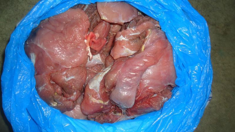 Decomisan carne de tortuga en campo ferial 