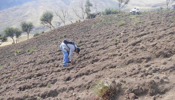 'Sierra Azul' ejecutará siembra y cosecha de lluvia en Huánuco