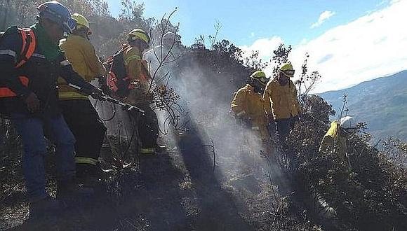 Evalúan recuperación de pinturas rupestres dañadas por incendio forestal en Cusco 