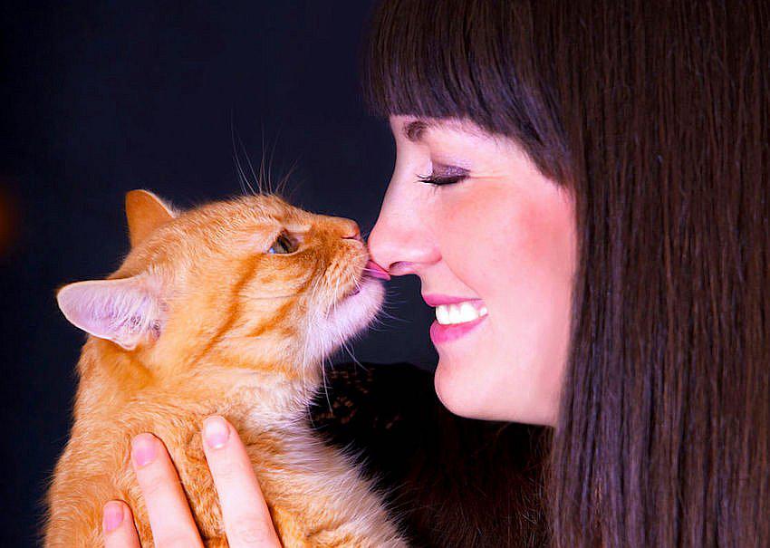 ​¡Cuidado! Darle un beso a tu gato puede provocarte la muerte