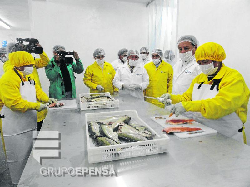 Con nueva planta procesadora, Junín expenderá truchas industrializadas