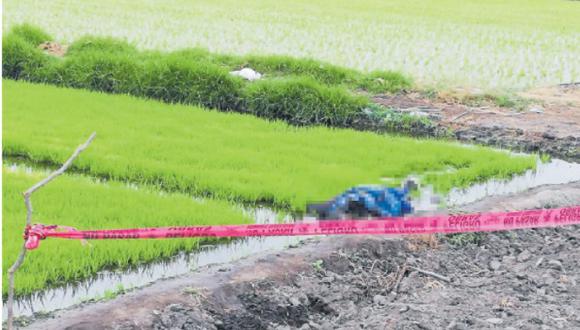 La Policía investiga  los hechos, se manejan varias hipótesis de lo ocurrido. Agricultores de arroz reportaron el hecho. (Foto: Difusión)