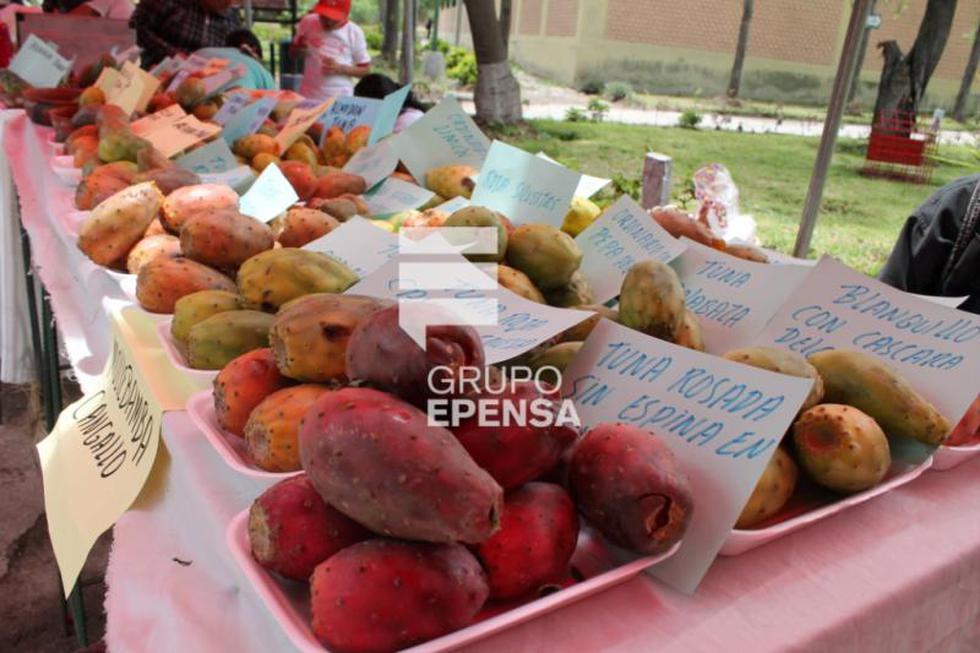 La tuna: De fea apariencia pero de sabor inigualable se luce en festival