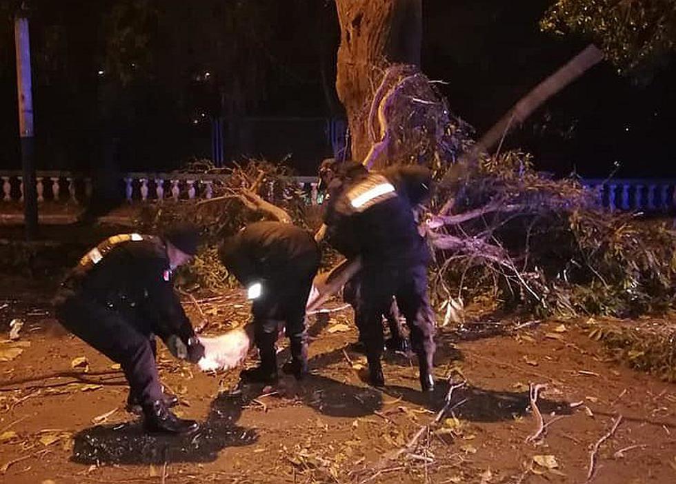 Vientos nocturnos causaron destrucción en Arequipa (FOTOS)