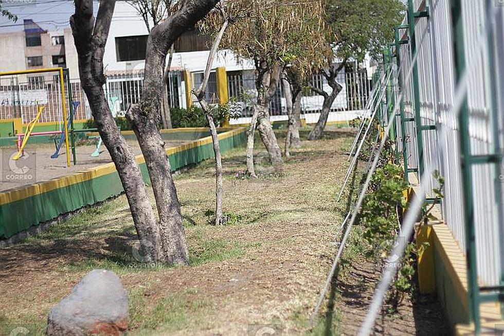 Parques de Paucarpata se secan por falta de atención (FOTOS)