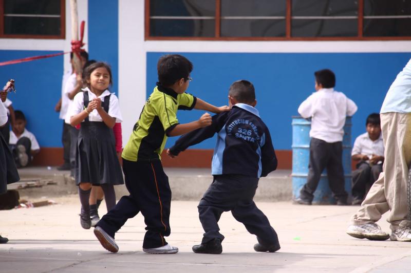 Indecopi denuncia que colegios no cumplen "Ley Antibullying"