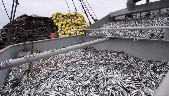 SNP: Pesca de la segunda temporada 2017 terminará entre enero y febrero