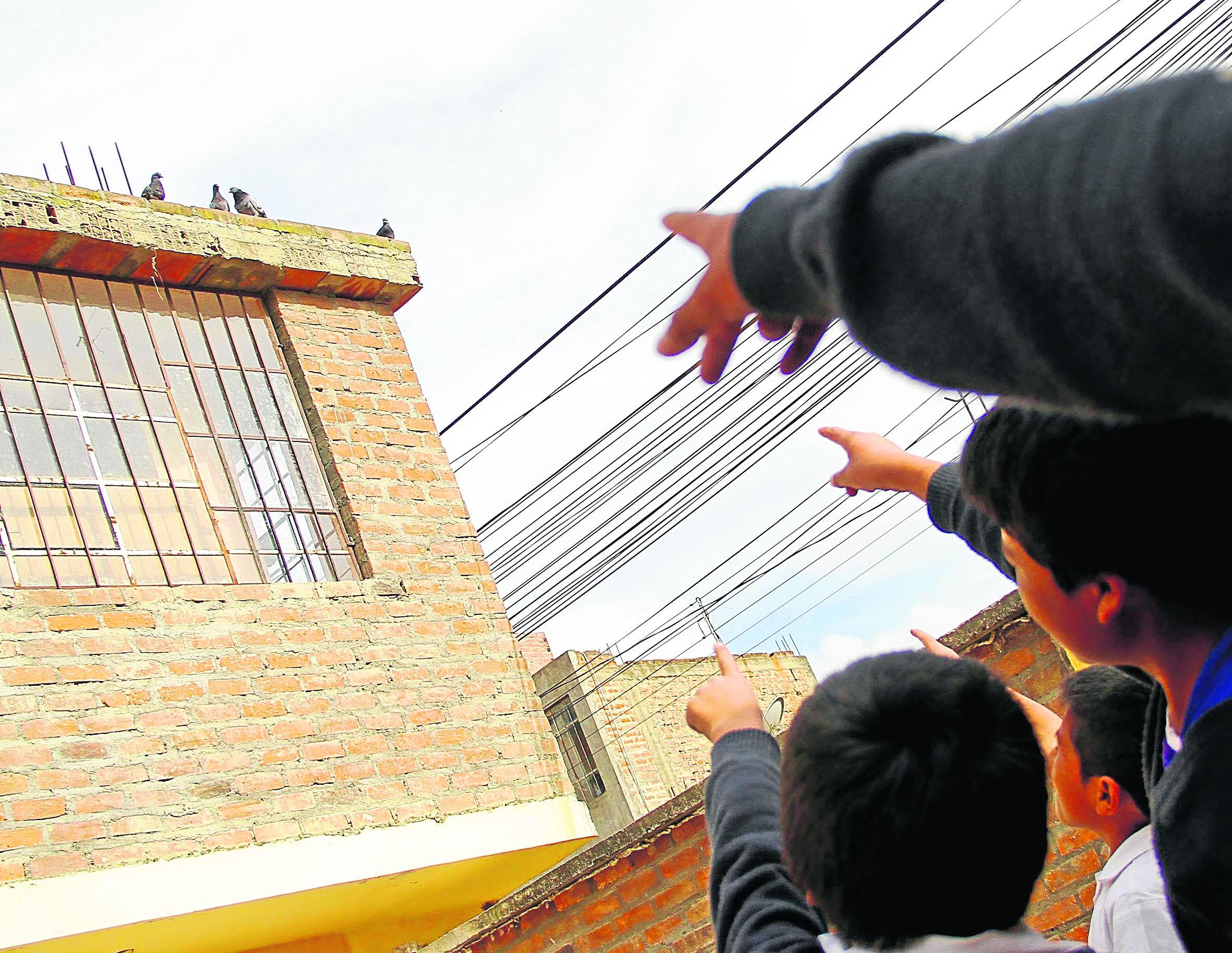 Palomas invaden una escuela y alumnos podrían enfermarse