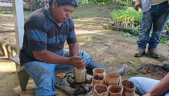 Peruanos crean bolsas a base de cáscara de plátano (FOTO)