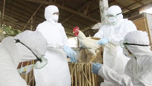 ​Muere mujer contagiada con una nueva mutación del virus de la gripe aviar