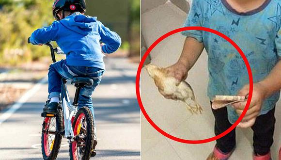 Niño atropelló a un pollito con su bicicleta y trató de salvarlo llevándolo al veterinario