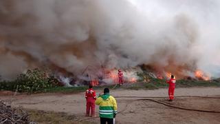 Incendio forestal consume 35 hectáreas de pastizales en Nepeña, Áncash