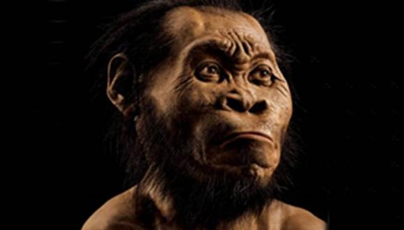 ​Homo Naledi podía trepar a los árboles y manejar herramientas