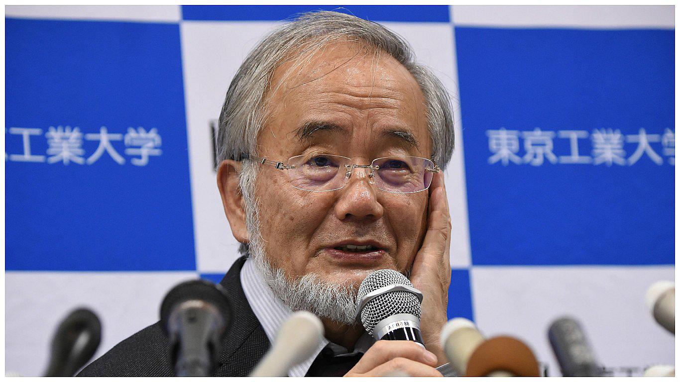 Yoshinori Ohsumi: Premio Nobel de Medicina por revelar mecanismos de la autofagia (VIDEO)