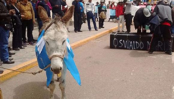 En protesta llevan un burro para reemplazar a alcalde de Juliaca (VIDEO)