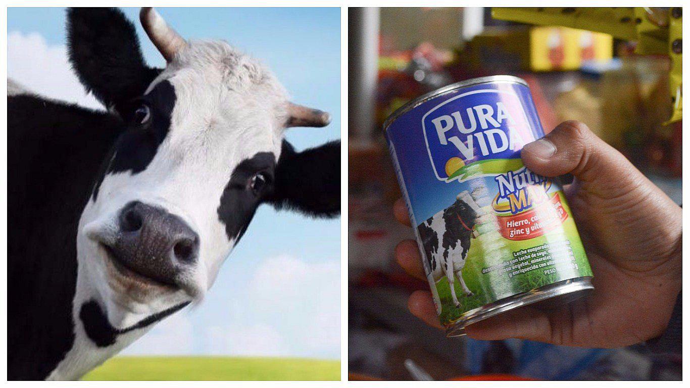 Pura Vida retirará imagen de vaca de su lata cuando se acabe stock