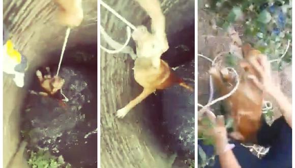 Impactante rescate de perro que cayó a un pozo lleno de agua [VIDEO]