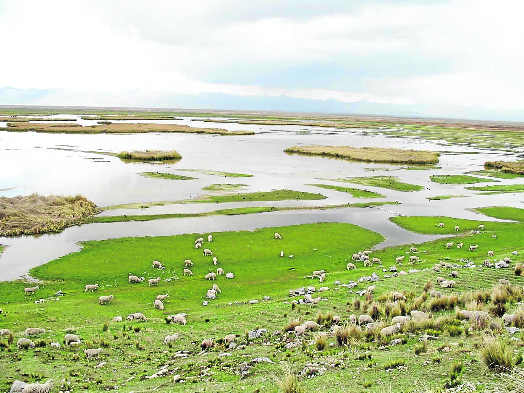 Ocho conflictos sociales en Junín  vinculados al agua