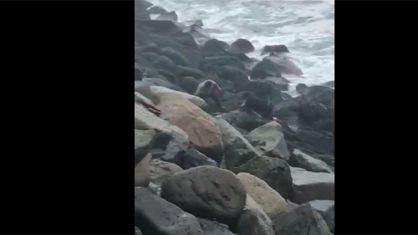 Mar devuelve cuerpo de joven ahogado en Buenos Aires (VIDEO) 