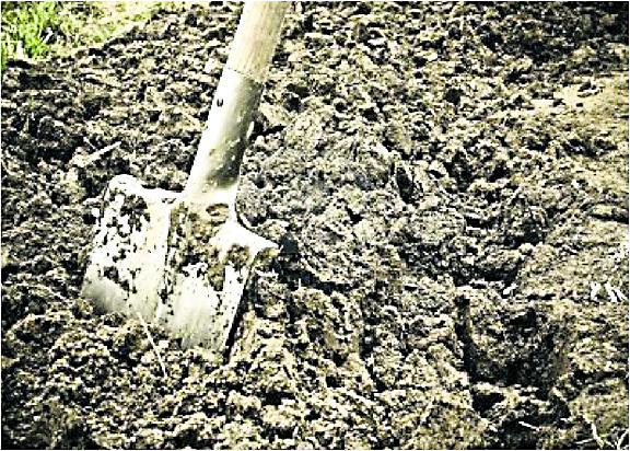 Marruecos: Entierra viva a ciudadana francesa en su jardín