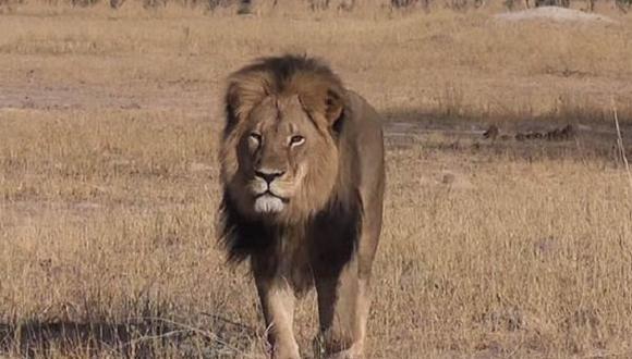 Cazadores de animales se defienden tras muerte de león Cecil