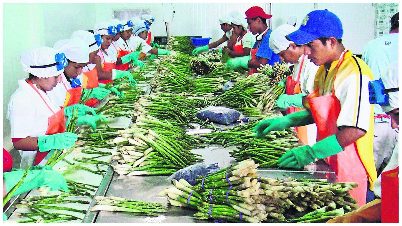 MTPE plantea límites amplios para contratos laborales en la exportación no tradicional
