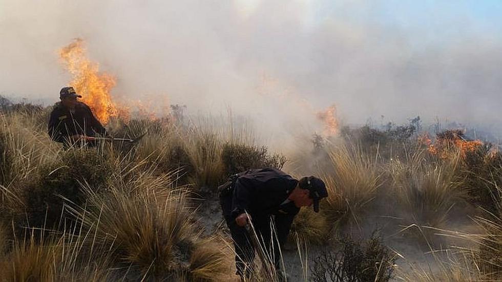 Incendio forestal: Fuego se reaviva en Arequipa y afecta a zonas de queñuales (FOTOS)