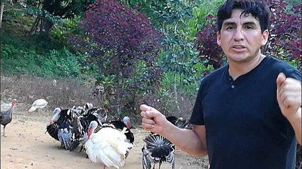 Mira cómo estos pavos "hacen barra" para Sporting Cristal (VÍDEO) 