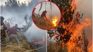 Incendio forestal arrasa con flora y fauna del Bosque de Pinos, conocido lugar turístico de Huancayo
