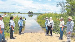 Lluvias en Piura: Desesperación por inundación de casas y cultivos