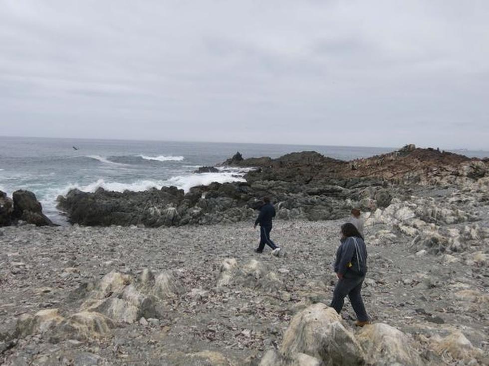 Especial: La riqueza de Punta de Coles