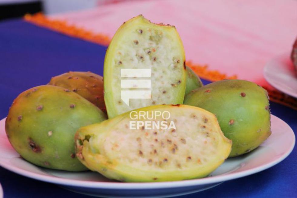 La tuna: De fea apariencia pero de sabor inigualable se luce en festival